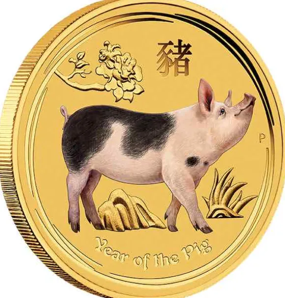 Lunar II - Schwein - 1/20 Unze Gold farbig 2019