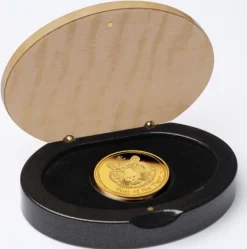 Lunar II - Tiger - 1 Unze Gold Proof 2010 + Box + COA