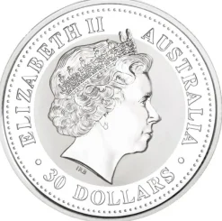 Lunar I - Schlange - 1 KG Silber 2001*
