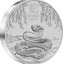 Lunar 3 - Schlange- 10 KG Silber 2025