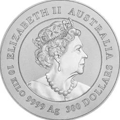 Lunar 3 - Tiger - 10 KG Silber 2022*
