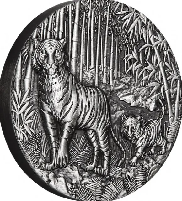 Lunar 3 - Tiger - 2 Unzen Silber Antik 2022 + Box + COA*