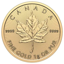 Maple Leaf 1 Gramm Goldmünze verschiedene Jahrgänge