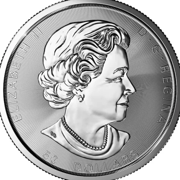 Maple Leaf - Magnificent - 10 Unzen Silber verschiedene Jahrgänge B-Ware*