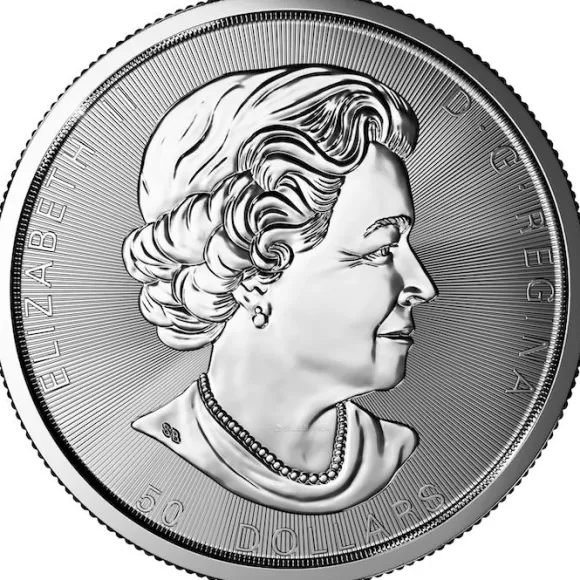 Maple Leaf - Magnificent - 10 Unzen Silber 2018*