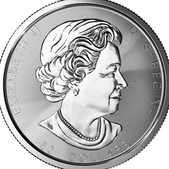 Maple Leaf - Magnificent - 10 Unzen Silber 2021*