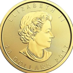 Maple Leaf 1/2 Oz Gold verschiedene Jahrgänge