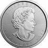 Maple Leaf 1 Oz Platin verschiedene Jahrgänge*