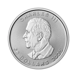 Maple Leaf 1 Unze Platin 2025