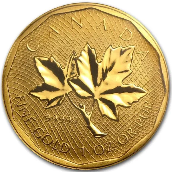 Maple Leaf - 5x9 - 1 Oz Gold 2008 - Blister