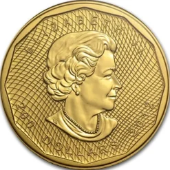 Maple Leaf - 5x9 - 1 Oz Gold 2012 Blister