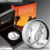 1 Oz High Relief Kangaroo 2012 + Box + CoA*