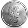 Predator Serie - Luchs -1 Oz Silber 2017*
