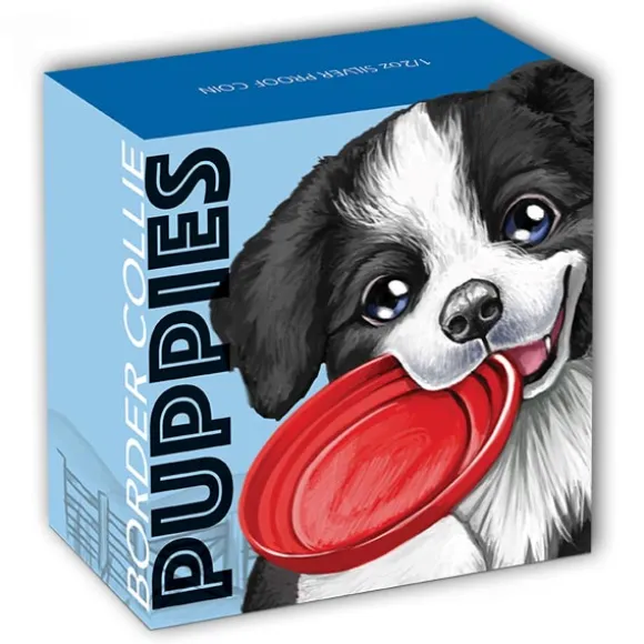 Puppies - Border Collie - 1/2 Oz Silber 2018 +Box +COA *