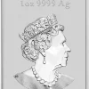 Rectangular Drache 1 Oz Silber diverse Jahrgänge / 2. Wahl*