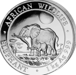 Somalia Elefant 1 KG Silber 2011*