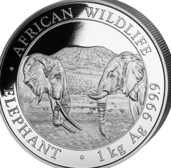 Somalia Elefant 1 KG Silber 2020*