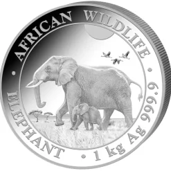 Somalia Elefant 1 KG Silber 2022*