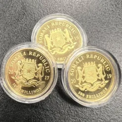 Somalia Elefant 1/10 Oz Gold diverse Jahrgänge