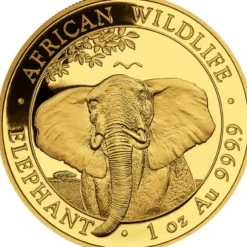 Somalia Elefant 1 Unze Gold 2021
