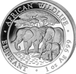 Somalia Elefant 1 Unze Silber 2013*