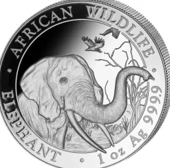 Somalia Elefant 1 Unze Silber 2018*