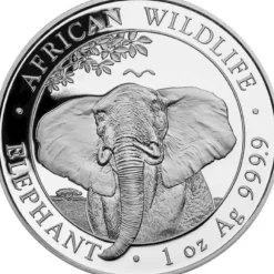 Somalia Elefant 1 Unze Silber 2021*