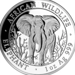 Somalia Elefant 1 Unze Silber 2004*