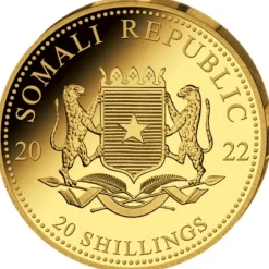 Somalia Leopard 0,5 Gramm Gold 2022