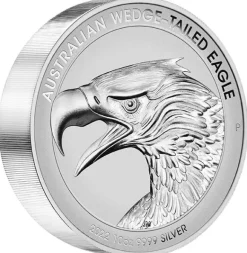 Wedge Tailed Eagle 10 Unzen Silber Reverse Proof 2022 +Box +COA*