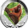 Wildlife in Need - Orangutan - 1 Oz Silber Proof 2011 +Box +COA*
